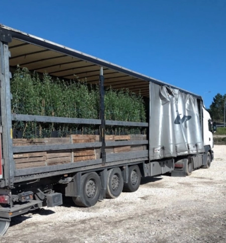 Transporte